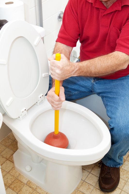 Toilet Plunging in Columbus, OH